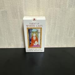 흰 고양이 타로 TAROT OF WHITE CATS