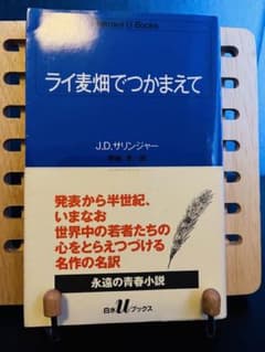 ライ麦畑でつかまえてのサムネイル