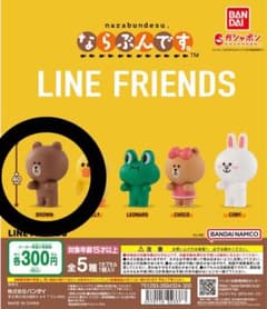 그렇습니다. LINE FRIENDS BROWN