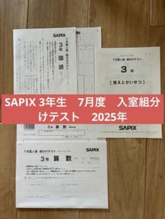 ㉕あ　書き込み処理済み❣️サピックス　SAPIX 3年生　年間テスト　フルセット SAPIX 3年生 7月度入室組分けテスト 2025年 - メルカリ