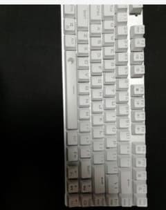 専用のサムネイル
