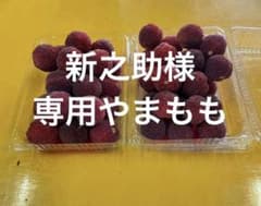 新之助様専用やまもものサムネイル