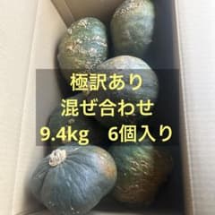 ⁠【極‼︎訳あり】混ぜ合わせ 不揃い かぼちゃ 箱込み約9.4kg⁠　茨城県産のサムネイル