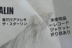 未使用品 難あり アナログレコード7インチ] ザ・スターリン 首だけ