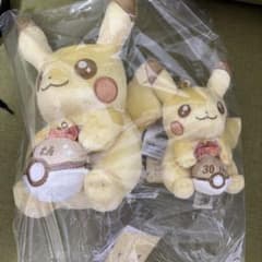 新品未開封 ポケモン 30周年記念 ピカピカ！ピカチュウ ぬいぐるみ