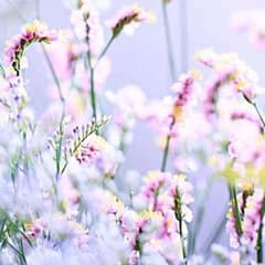 miho様専用のサムネイル