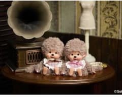 2014年モンチッチプライズ 非売品 タグ付き 男の子 女の子 セキグチ