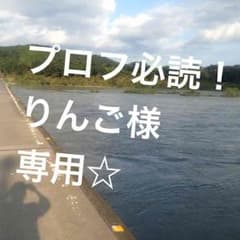 専用です。のサムネイル