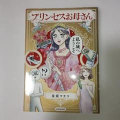 「プリンセスお母さん」 並庭マチコのサムネイル