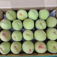 加工用若桃　箱込み12kg➕1kg 30.加工用若桃 資材込み約1.3kg 宅急便コンパクト入 - メルカリ