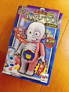 放課後の怪談シリーズ 理科室の模型復元パズル 人体模型のサムネイル