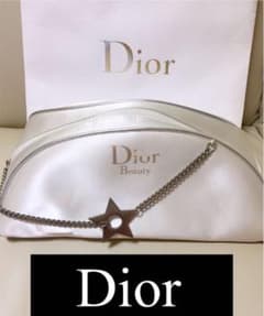 Dior ポーチ シルバー  【高級感】【大きめ】のサムネイル