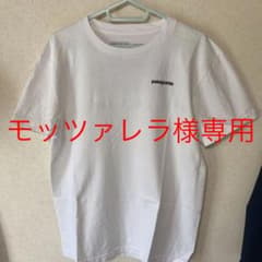 patagonia パタゴニア Tシャツのサムネイル