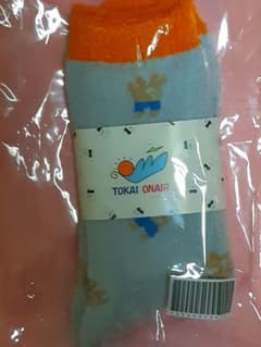 東海オンエア 靴下のサムネイル