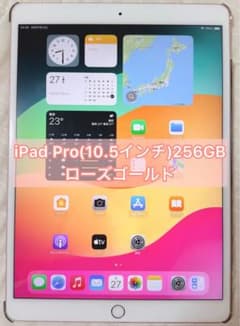 ⭐️説明文必読⭐️iPad Pro (10.5インチ) 256GB ローズゴールド