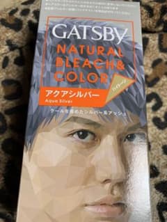 ギャツビー Bカラー アクアシルバー (即購入不可）のサムネイル