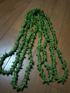 フラダンス レイ グリーン 造花のサムネイル