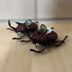 BEETLE リアルBIGサイズフィギュア カブトムシ 〜成虫〜 2個セット ②