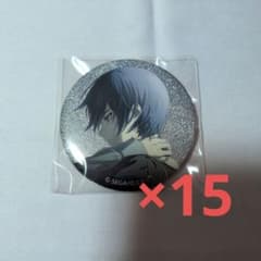 プロジェクトセカイ グリッター缶バッジ37B KAITO15点 - メルカリ