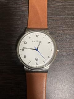 SKAGEN SKW6082のサムネイル