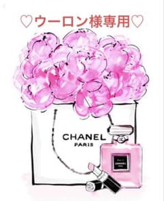 ♡ウーロン様専用♡多肉植物♡韓国苗♡カット苗のサムネイル