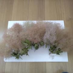 スモークツリー　ドライフラワー　バラ　30本　 小さめのサムネイル