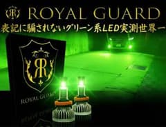 2026 ロイヤルガードオメガ LEDフォグライムグリーン H8 H11 H16