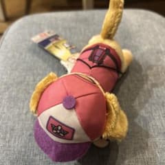 新品タグ付き パウ・パトロール ダイノレスキュー マスコット スカイ
