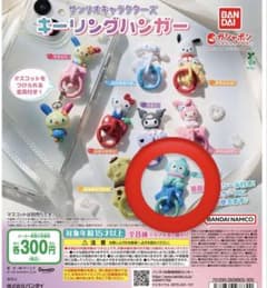 サンリオキャラクターズ キーリングハンガー ハンギョドンのサムネイル