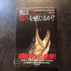 魚は痛みを感じるか?のサムネイル