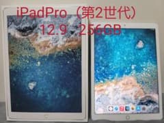 iPad Pro (第2世代)12.9インチ 256GB セルラーモデルのサムネイル
