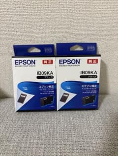 EPSON 純正インクカートリッジ IB09KA ブラック 2個セットのサムネイル