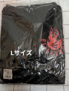 ELLGARDEN 復活2018ツアー フレイムロゴ パーカー L 黒 エルレ - メルカリ