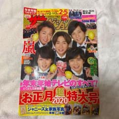 ザテレビジョン お正月特大号のサムネイル