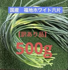 【訳あり】にんにくの芽 500gのサムネイル