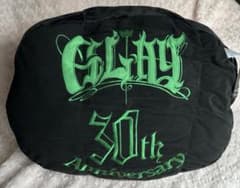 宅急便 新品GLAY 30th Anniversary ZURA クッション - メルカリ