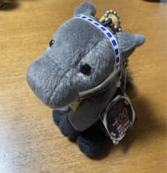 アイドルホース オグリキャップ Sサイズ - メルカリ