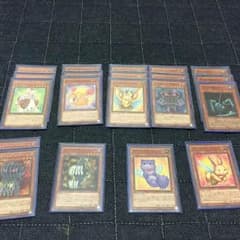 遊戯王ファーニマルデッキのサムネイル
