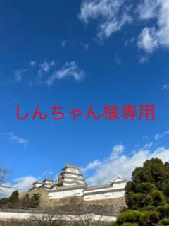 Apple純正イヤホンと電源アダプタ　箱なしのサムネイル