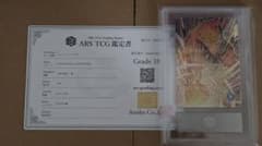 ARS10+ 鑑定書付き】 オレンジピッコロ SDV11-059 - メルカリ