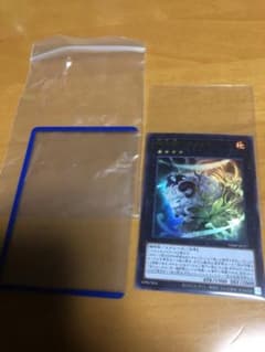 Vジャンプ遊戯王　神羊樹バロメットのサムネイル