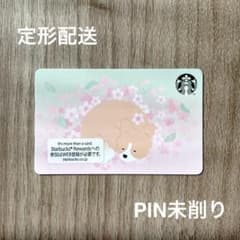 ⑩最安値★スターバックスカード スタバカード 26 スプリングドッグ 犬 春 - 3
