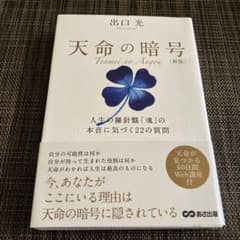 天命の暗号 人生の羅針盤「魂」の本音に気づく22の質問のサムネイル