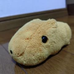 카피바라씨 봉제인형