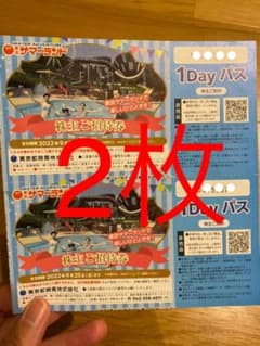 東京サマーランド 株主優待券 2枚のサムネイル
