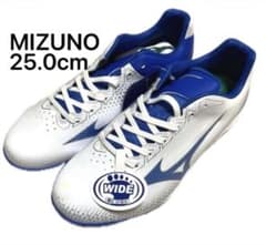 ❤️最終値下げ❤️ MIZUNO ミズノ ウェーブライトレボ スパイク 