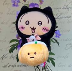 치이카와 토끼 중국 한정 miniso 할로윈 검은 고양이 인형