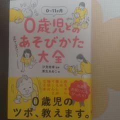 0歳児とのあそびかた大全のサムネイル