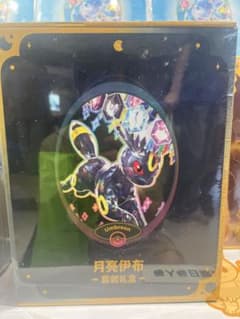 中国限定 ポケモンカード ブイズ新作シリーズブラッキーのカードアルバム 中国限定 ポケモンカード ブイズ 新作シリーズ ブラッキー - メルカリ