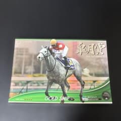 ゴールドシップ 【黄金船】のサムネイル